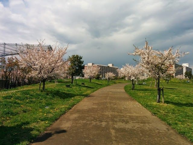 Omori Furusato-no-Hamabe Park